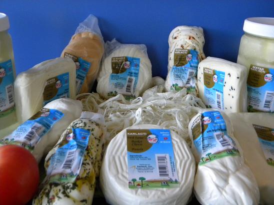 Middle Eastern Cheese Heritage