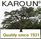 authentic karoun cheese